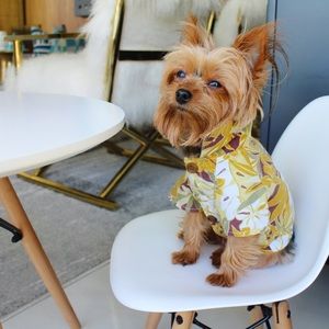 Meet your posher, Aaron!